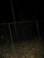 Chicago Ghost Hunters Group investigates Bachelors Grove (45).JPG